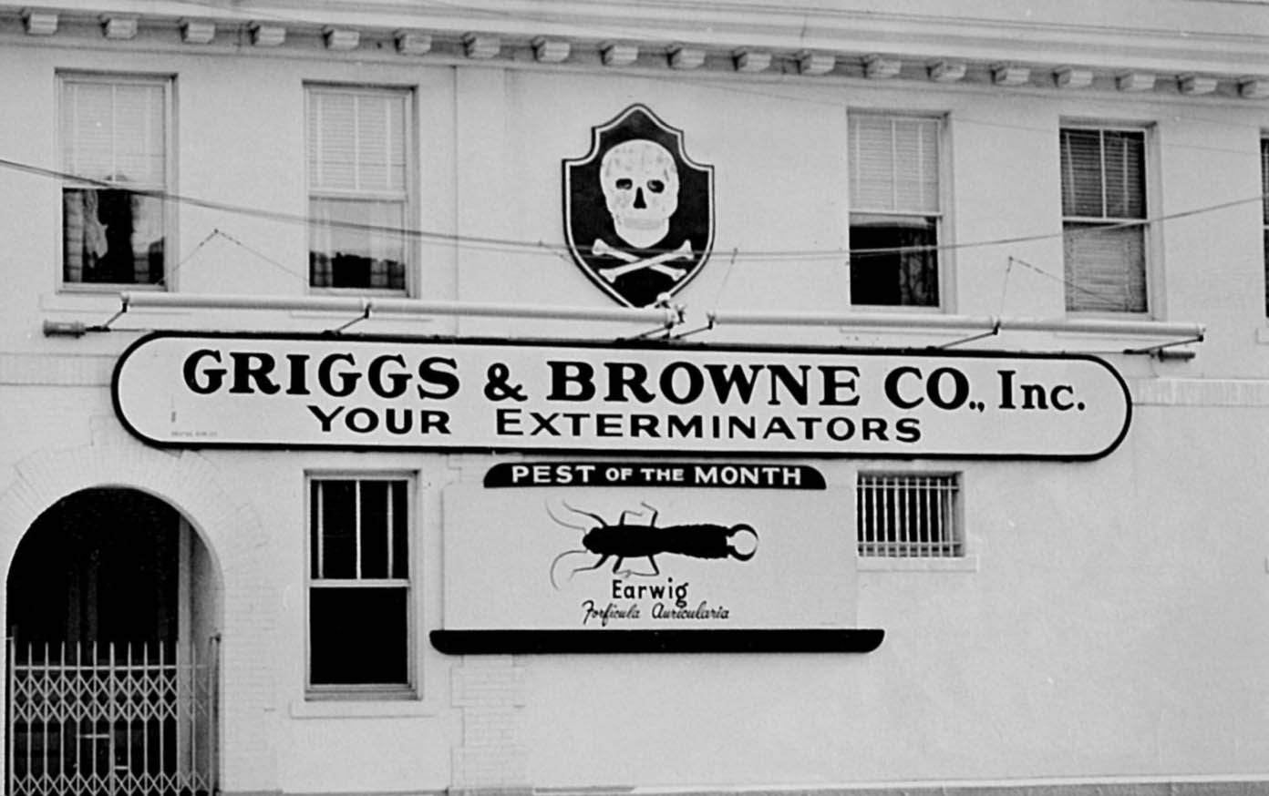 Griggs & Browne history