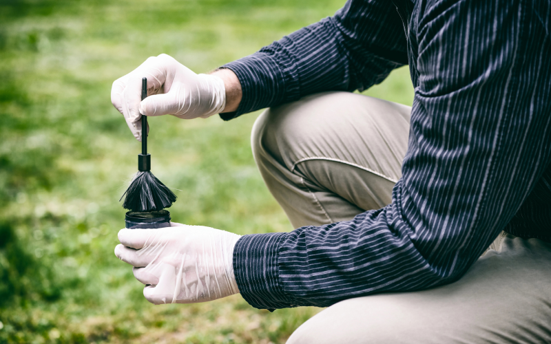 How to Get Rid of Ticks in Your Yard and Protect Your Family