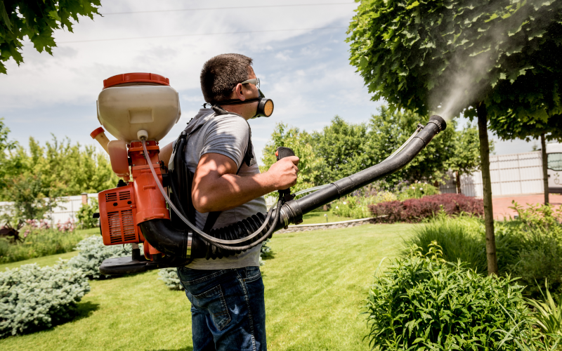 How to Keep Mosquitoes Away From Your Yard This Summer