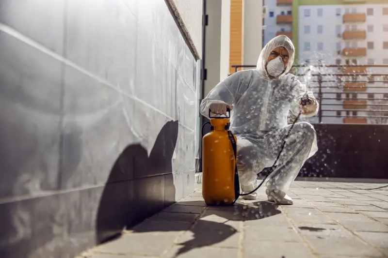 Professional Pest Control