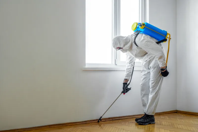 Pest Control in Barnstable