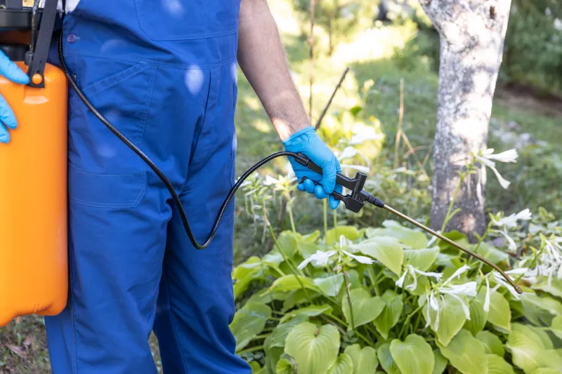 Pest Control in Hyannis