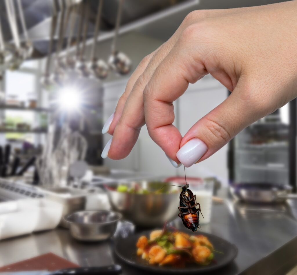 Close-up of a hand holding a cockroach by its antenna above a plate of food in a commercial kitchen, highlighting pest infestation and food contamination risks.