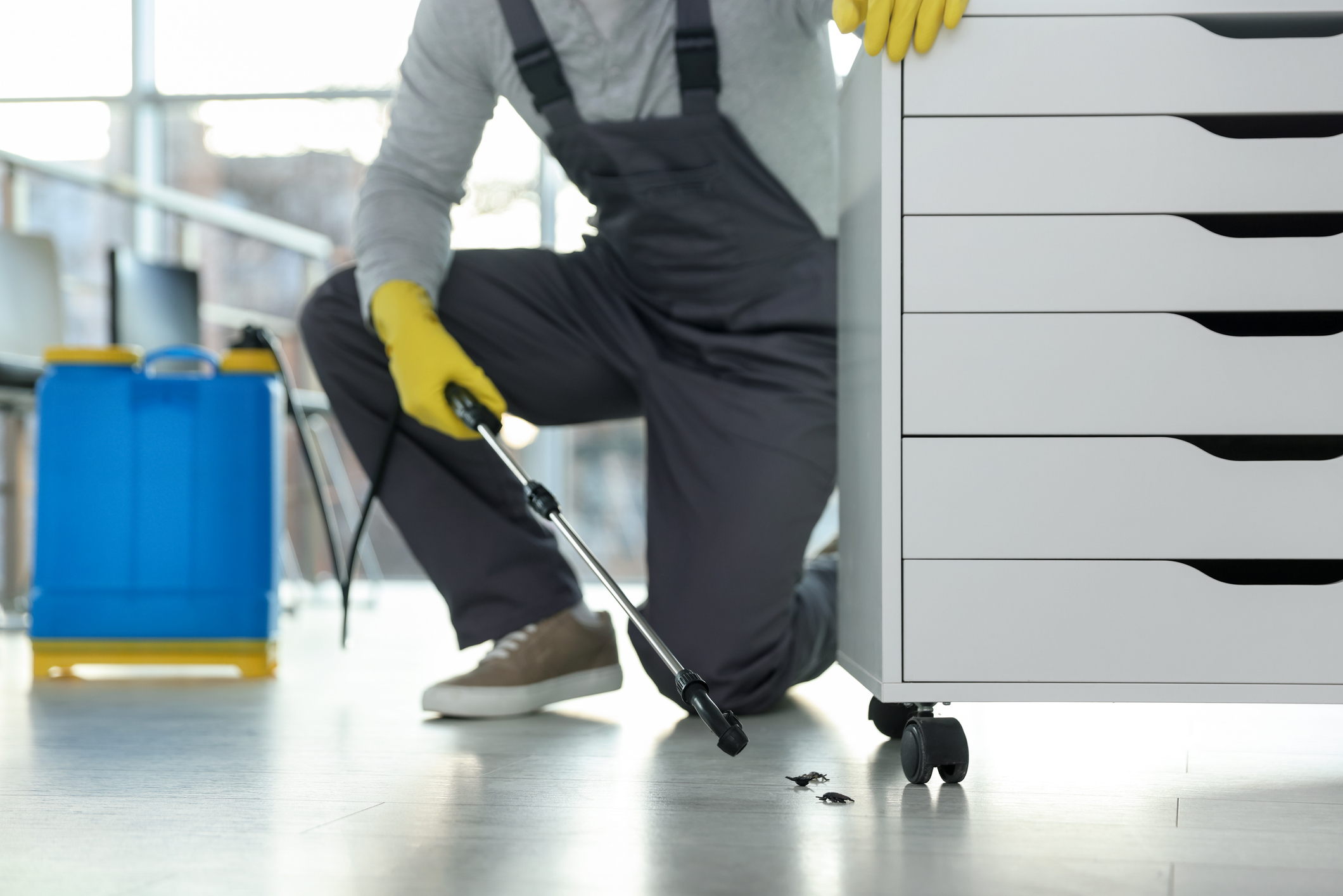 Pest control technician wearing yellow gloves using a spray wand to treat insects on the floor beside a white office cabinet, with pest control equipment nearby.